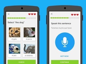 Duolingo-app