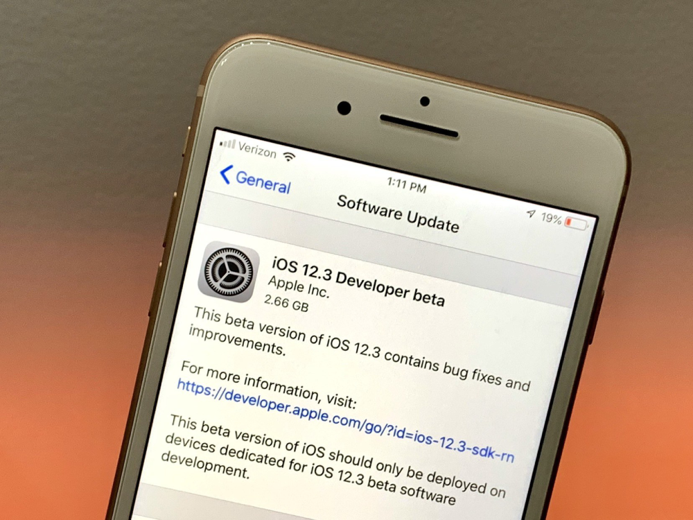 First iOS 12.3 beta