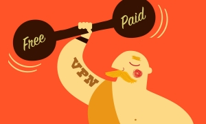 Free vs. Paid VPN