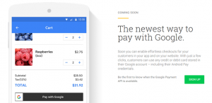 Google new payment