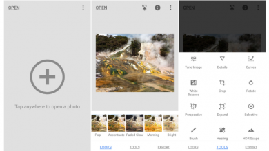 Snapseed adds new photo filters