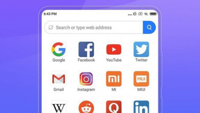 Xiaomi-Mint-Browser