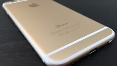 iPhone-6-back